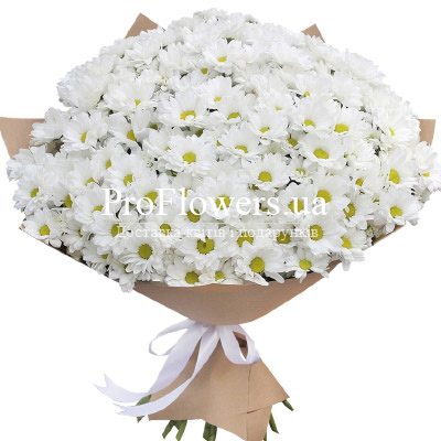 Bouquet of chrysanthemums "Dream"