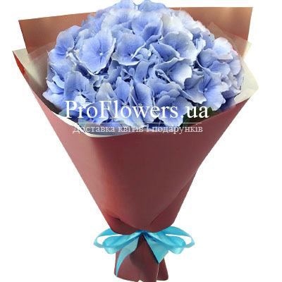  Bouquet of hydrangea "Airy watercolor"