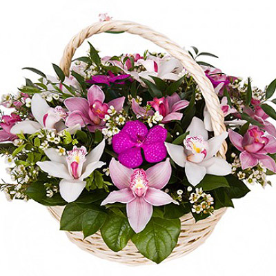 Basket of orchids "Cloud" - picture 2