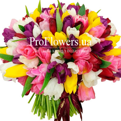  Bouquet of 151 multi-colored tulips