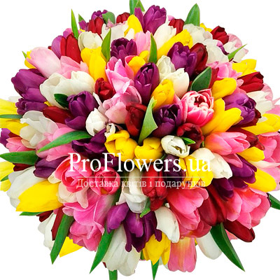 Букет из 151 разноцветного тюльпана - изображение 2