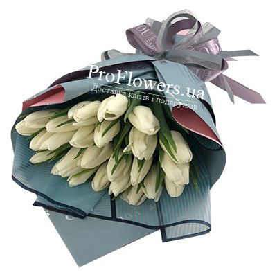 Букет з 25 білосніжних тюльпанів - зображення 2