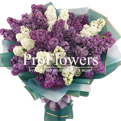  A large bouquet of lilacs "Carnival"