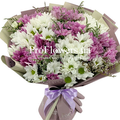 Bouquet of chrysanthemums "Purple Dreams"