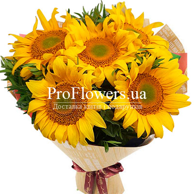 Bouquet of 5 sunflowers