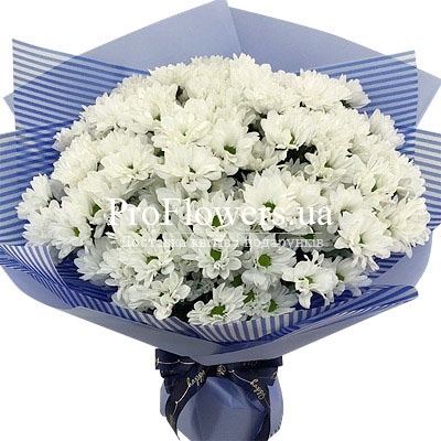  Bouquet of chrysanthemums "Azure"