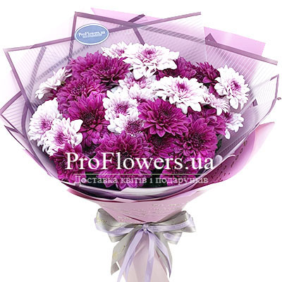 Bouquet of chrysanthemums "Attraction"