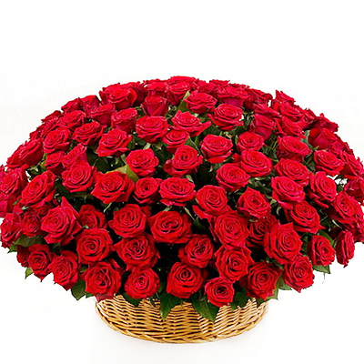 Basket of 501 red roses