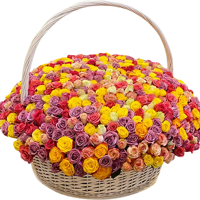 Basket of 501 colorful roses