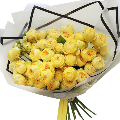 17 imported yellow roses