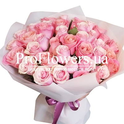 31 pink roses