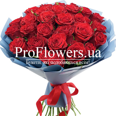 31 red roses