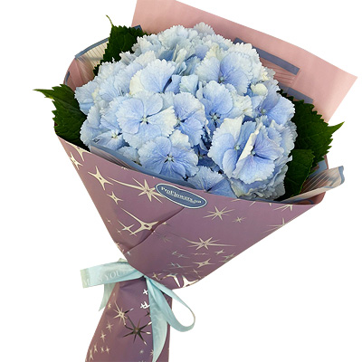 Hydrangea bouquet "Blue sky"