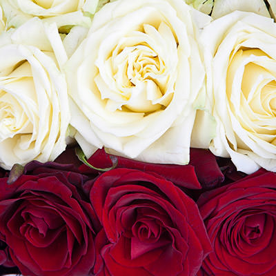 Букет троянд «Серце для королеви» - зображення 3