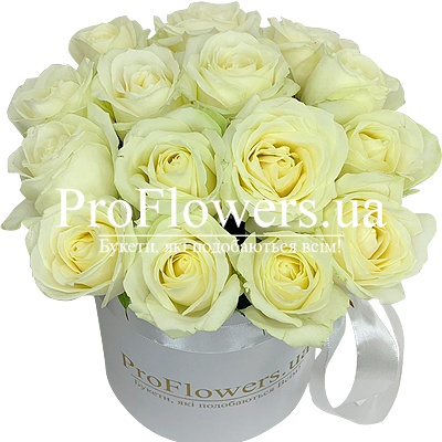 15 white roses "Avalanche box"