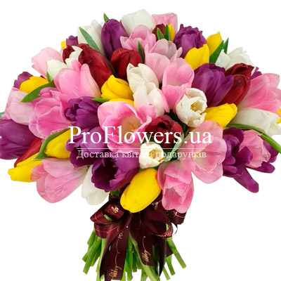 51 multi-colored tulips - picture 3