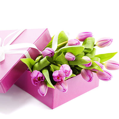 Pink tulips in a box