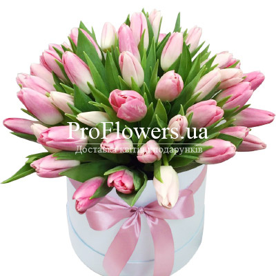 Delicate tulips in a box
