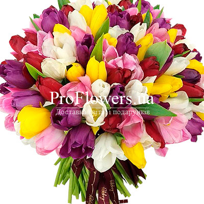 Bouquet "101 multicolored tulip"