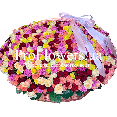 Basket of 501 multi-colored roses "Mystery of the Heart"