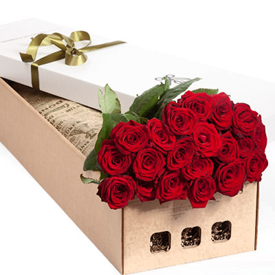 Цветы в коробке "21 красная роза"