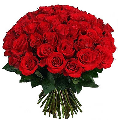 Luxurious bouquet of 51 imported roses