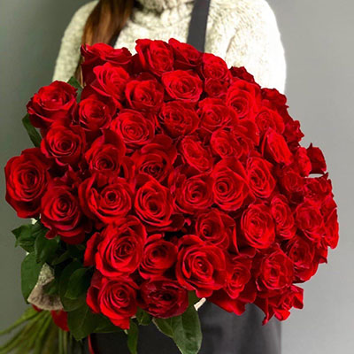 75 red Dutch roses