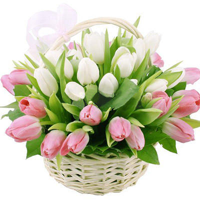 Basket of tulips "gentle hugs"