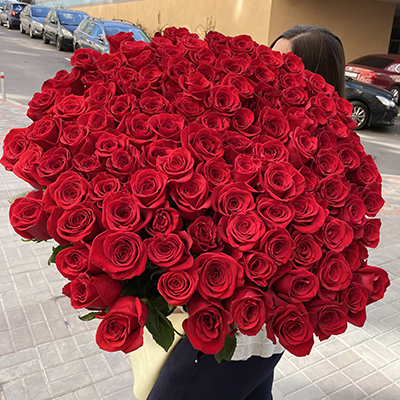 101 імпортна метрова троянда "Фрідом"