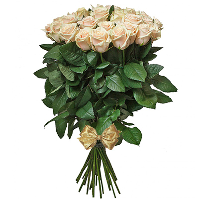 25 кремовых роз "Талея"