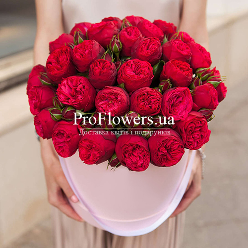 Box of peony roses "Explosion of feelings"