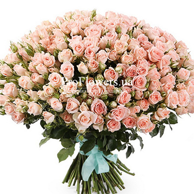 Bouquet of 101 spray roses "Grace"