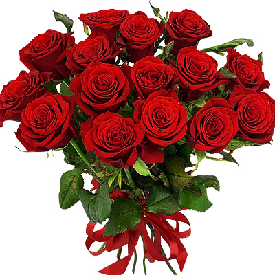 15 красных роз "Бархат"