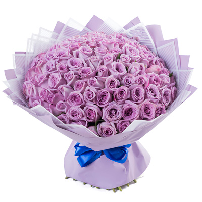 101 purple rose "Adele"