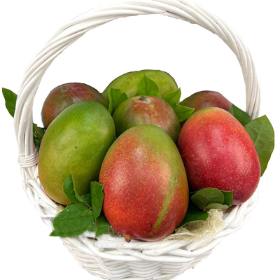 Basket with mango "Dream"