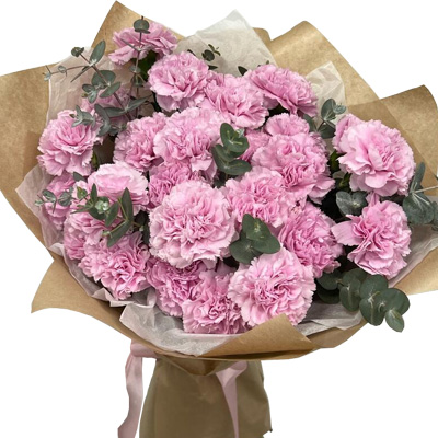 Bouquet of carnations "Pink dreams"