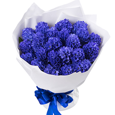 Bouquet of hyacinths "Heavenly"