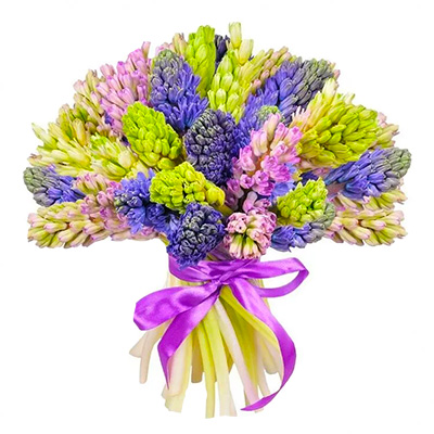 Bouquet of hyacinths "Bright dream"