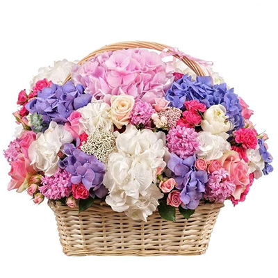 Basket with hyacinths "Malvina"