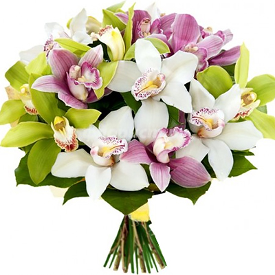 Букет різнокольорових орхідей