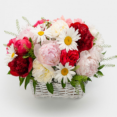 Basket of peonies "First kiss"