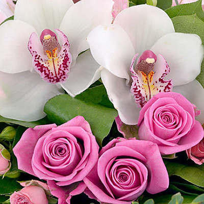Рожеві троянди та орхідеї "Моїй дорогоцінній" - зображення 2