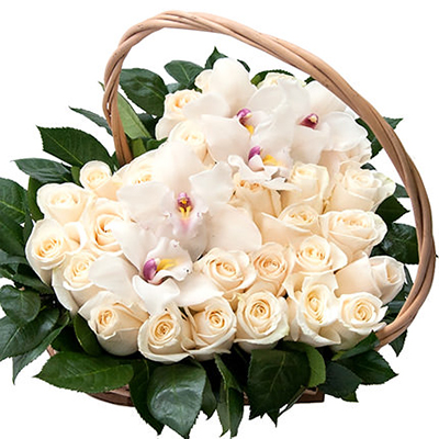 Basket with orchids "Hugs of tenderness"