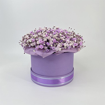 Box with gypsophila "Purple"