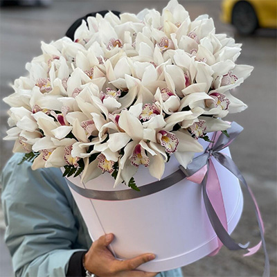 Коробка с орхидеями "Тахани"