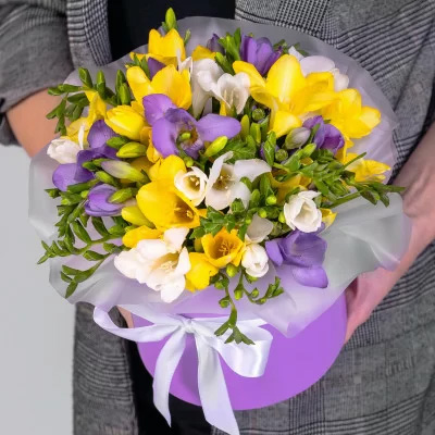 Bouquet of freesias in a box "Colorful compliment"