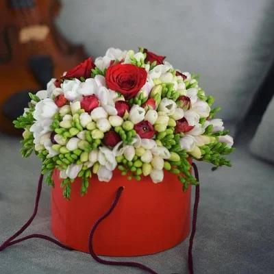  Box with freesias "Carnival"