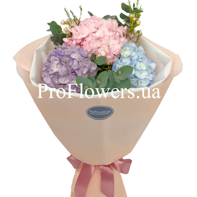 Bouquet of 3 colorful hydrangeas