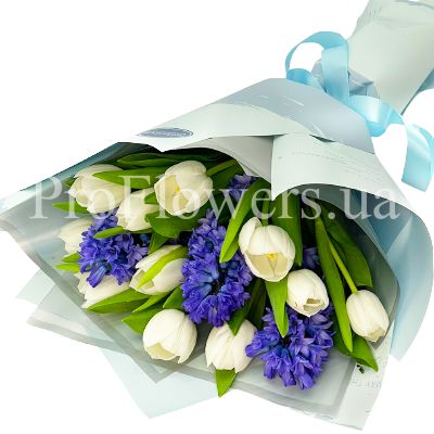 Bouquet of 3 hyacinths and white tulips