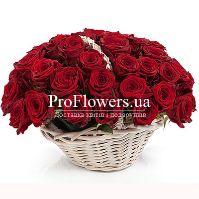 The basket "51 scarlet roses"